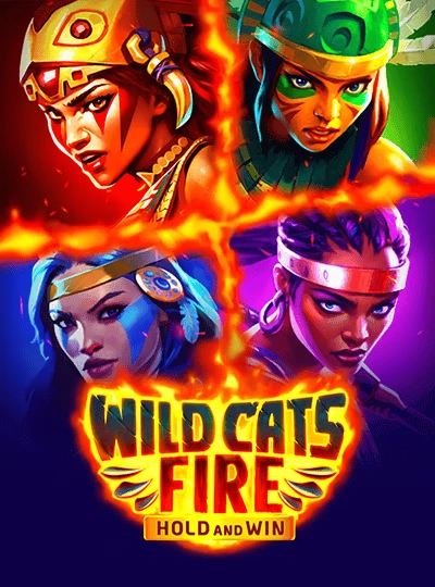 Dragon Tiger card game cover at bcd44